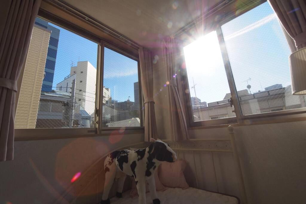 【great Location!】near Shinjuku Sta./girls #302 Tokio